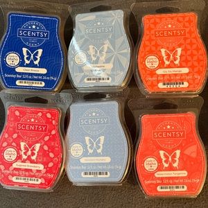 6 Pack Scentsy Bars